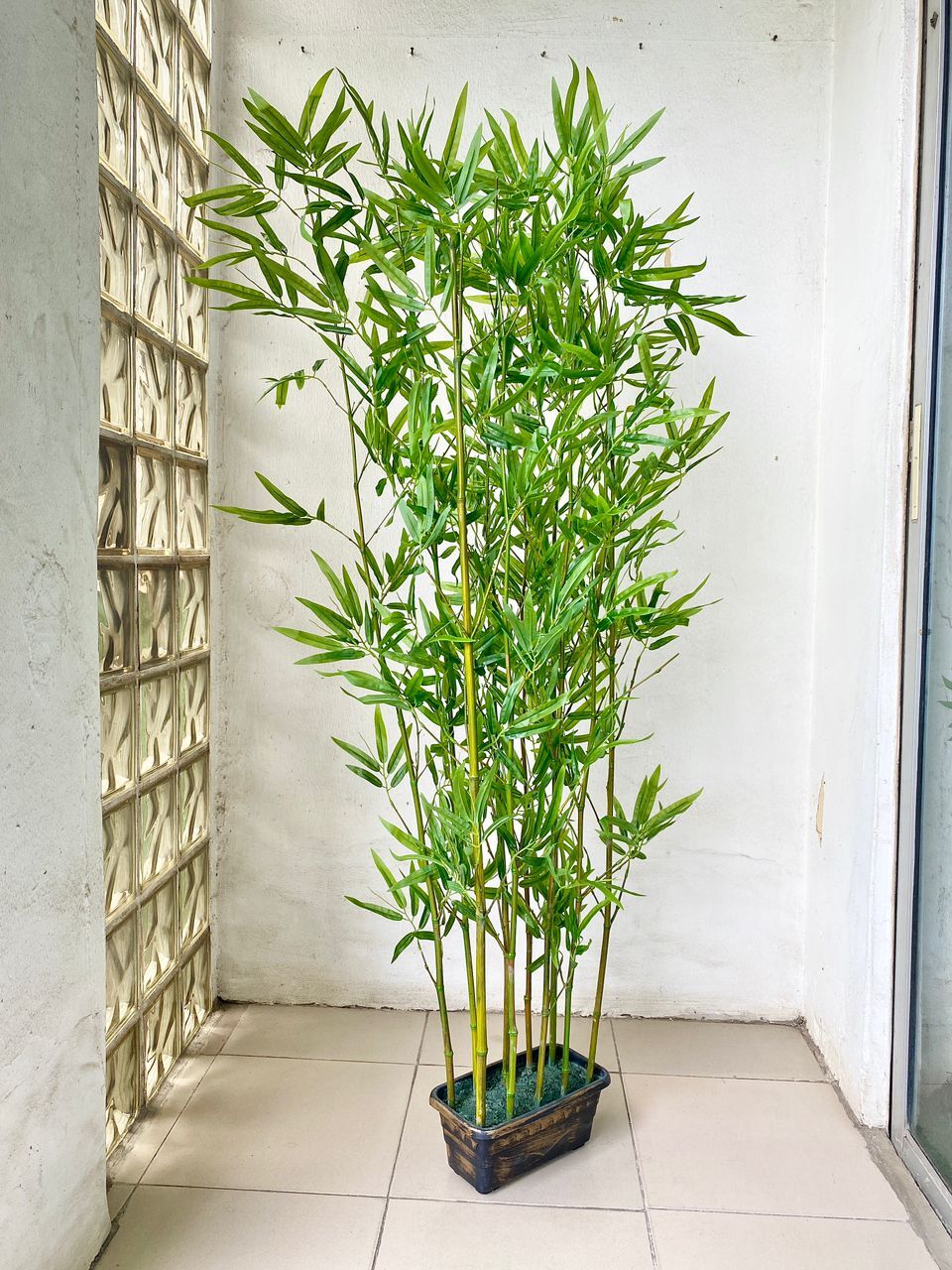 Bamboo slim sticks price in Lagos nigeria