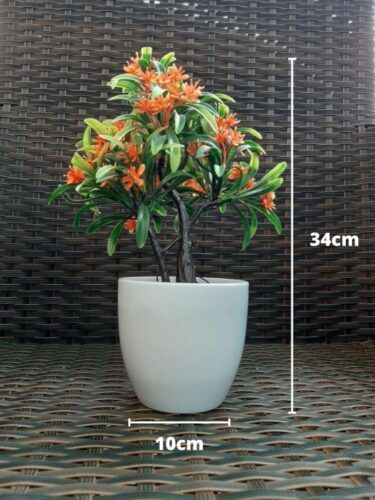Lagos tabletop plant suppliers