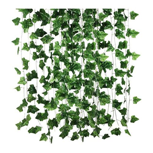 Hanging plants for sale in Lagos Nigeria