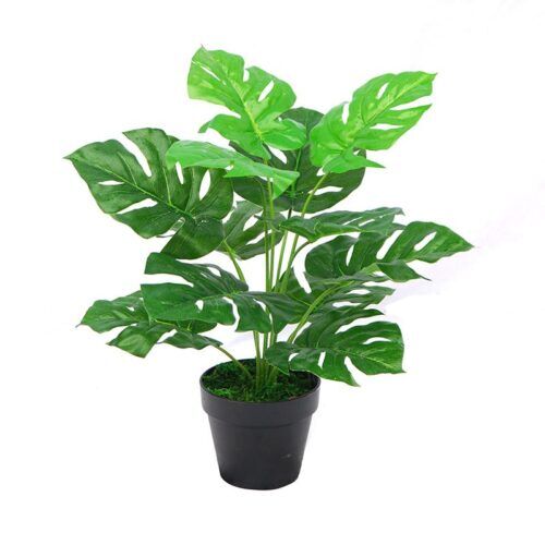 Office artificial plants for sale Lagos