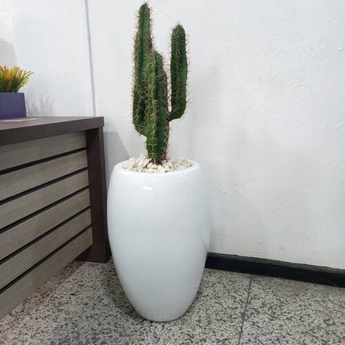 Where to buy artificial plants in Lagos Nigeria